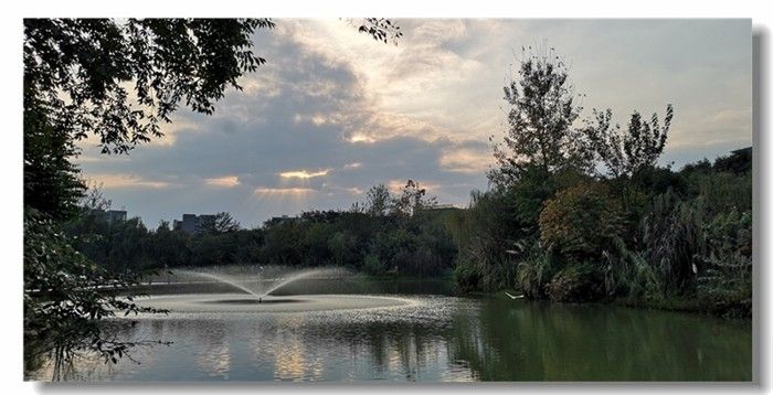 校园剪影（庞利红/摄）