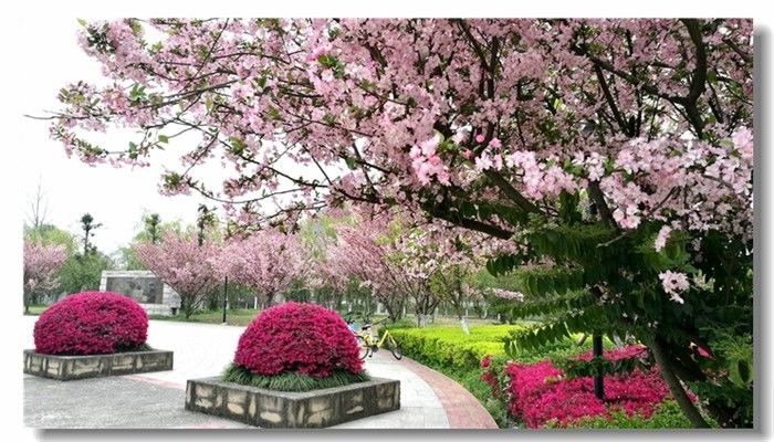 春回成中医 （庞利红/摄）