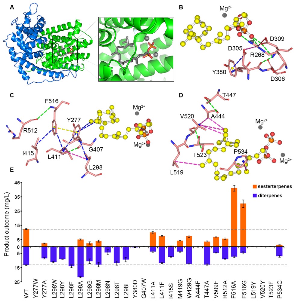4cc421c0bfc64983bef2018aa85914f6.jpg 4cc421c0bfc64983bef2018aa85914f6.jpg